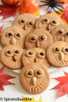 Owl Shortbread Cookies