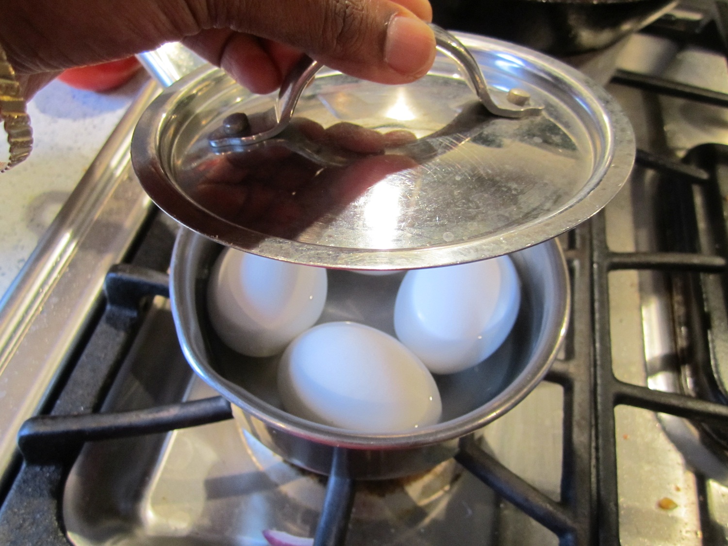 HOW TO MAKE PERFECT HARD BOILED EGGS — Spiceindiaonline