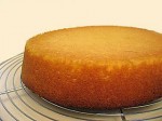 Sponge Cake